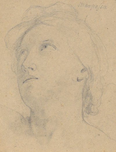 Studie voor Het Oordeel van Jupiter (Marpessa, hoofd) door Samuel Finley Breese Morse