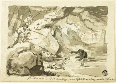 Noord-Amerikaanse Berenjacht (recto); Schelp (verso) door Samuel Howett