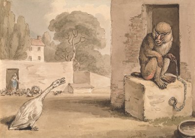 Een gans en een baviaan door Samuel Howitt