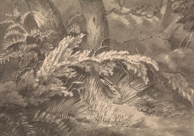 Een Haas aan de Rand van het Bos door Samuel Howitt