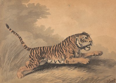 Eine Tigerin springt nach rechts door Samuel Howitt