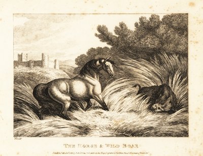 Een paard en een wild zwijn tegenover elkaar in een weiland. 1811 (ets) door Samuel Howitt