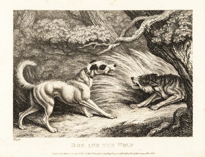 Een huishond in een halsband biedt voedsel aan een uitgehongerde wolf. 1811 door Samuel Howitt