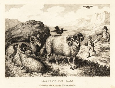 Een kauw zingt op de rug van een ram. 1811 (ets) door Samuel Howitt