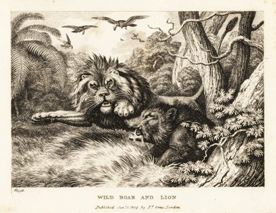 Een leeuw en een wild zwijn vechten terwijl gieren erboven cirkelen. 1811 door Samuel Howitt