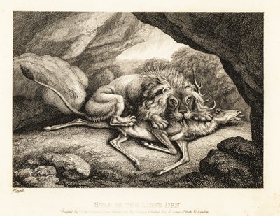 Een leeuw die het karkas van een hert in een grot eet. 1811 door Samuel Howitt