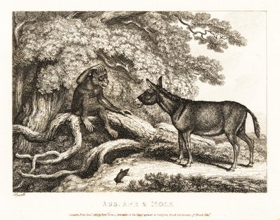 Een aap en een ezel jammeren totdat een mol hen tot zwijgen brengt. 1811 (ets) door Samuel Howitt