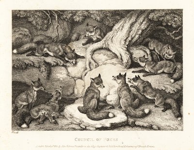 Een groep vossen ontmoet elkaar in een bos. 1811 (ets) door Samuel Howitt