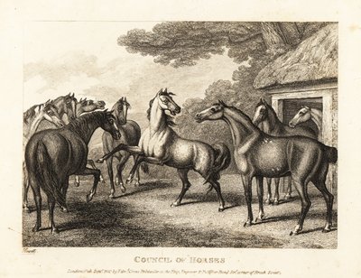 Een jong veulen probeert een muiterij in de stallen te veroorzaken. 1811 (ets) door Samuel Howitt