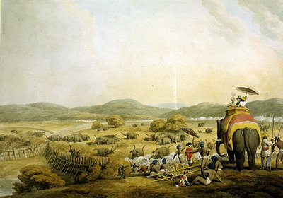 Olifanten naar een Keddah drijven (aquarel op papier) door Samuel Howitt