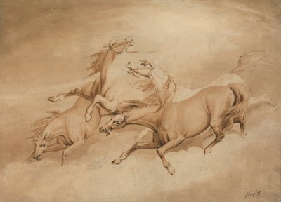 Vier galopperende paarden door Samuel Howitt