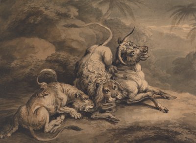 Leeuw en leeuwin die een stier aanvallen door Samuel Howitt