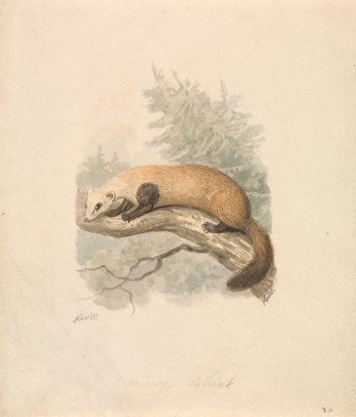 Bunzing door Samuel Howitt