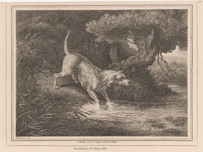 De otterhond door Samuel Howitt