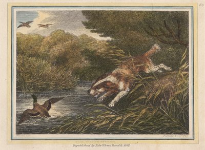 De waterspaniël door Samuel Howitt