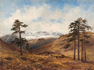 Bij Balmoral, 1893 door Samuel John Barnes