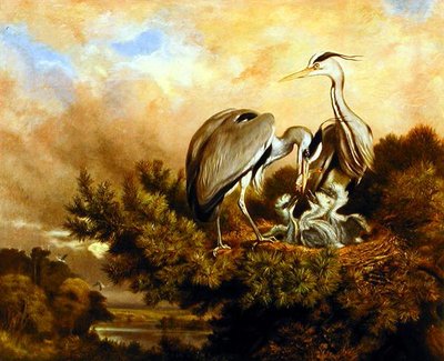 Reiger die hun jongen voedt in een dennenboom door Samuel John Carter