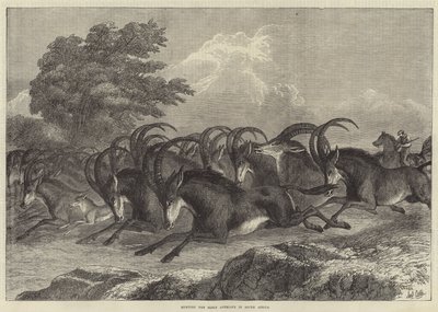Jacht op de sabelantilope in Zuid-Afrika door Samuel John Carter