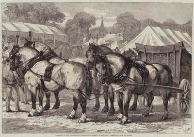 Bijeenkomst van de Lincolnshire Agricultural Society in Sleaford, Eerste-prijs team van paarden door Samuel John Carter