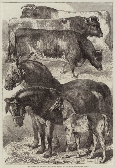 Prijswinnaars paarden en vee op de Oxford bijeenkomst van de Royal Agricultural Society door Samuel John Carter