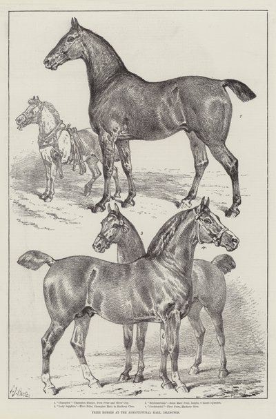 Prijswinnaars op de landbouwtentoonstelling, Islington door Samuel John Carter