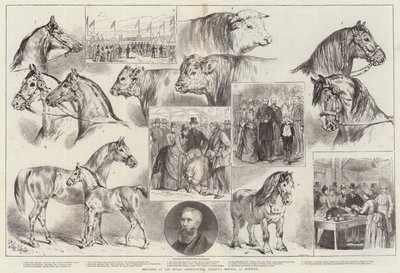 Schetsen op de bijeenkomst van de Koninklijke Landbouwmaatschappij in Norwich door Samuel John Carter