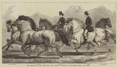 De Paardenshow in de Agricultural Hall, Islington, Parade van Prijs Paarden, Dravers en Hacks door Samuel John Carter