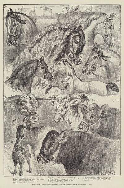 De Royal Agricultural Society