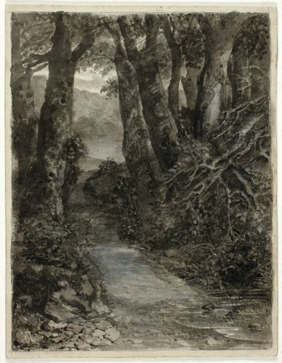 Een Bosstudie door Samuel Palmer