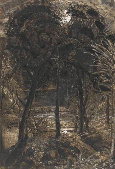 Een maanverlichte scène met een kronkelende rivier door Samuel Palmer