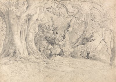 Oude Bomen, Lullingstone Park door Samuel Palmer
