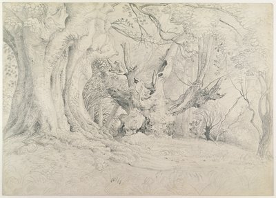 Oude bomen, Lullingstone Park, 1828 door Samuel Palmer