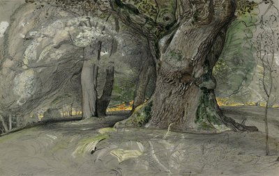 Eik en beuk, Lullingstone Park door Samuel Palmer