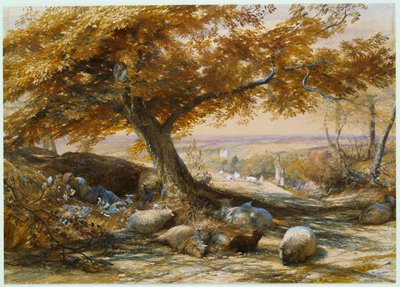 Schapen in de schaduw door Samuel Palmer