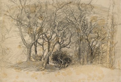 Studie van bomen, Clovelly Park, 1834 door Samuel Palmer