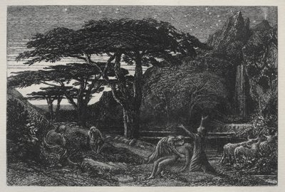Het cipressenbos door Samuel Palmer