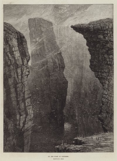 Aan de Kust van Caithness door Samuel Read