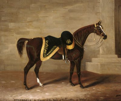 Kopenhagen, het paard van de hertog van Wellington bij Waterloo door Samuel Spode