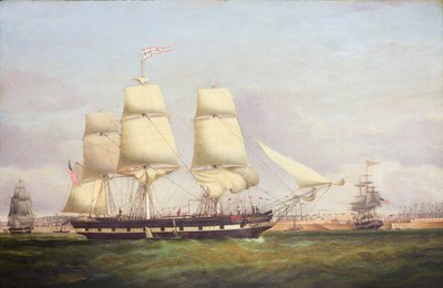 Euphrasia (olieverf op doek) door Samuel Walters