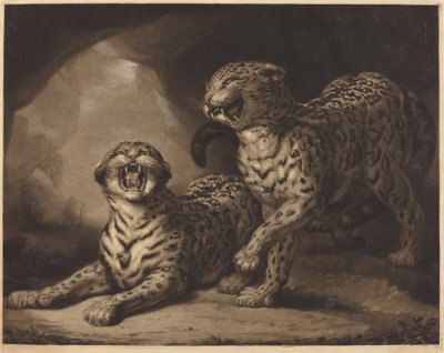 Luipaarden door Samuel William Reynolds I after James Northcote