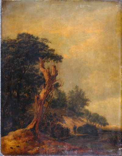 Landschap in imitatie van Jacob Ruisdael door Samuel Woodburn