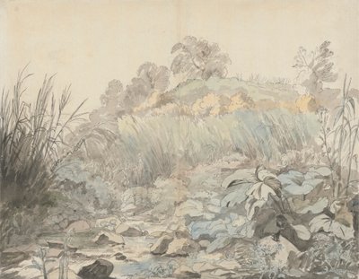 Een rotsachtige stroom door Samuel Woodforde