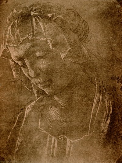 Vrouwelijk hoofd door Sandro Botticelli