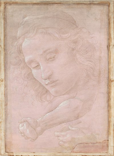 Hoofd van een Jongeling met een Pet; een Rechter Onderarm met de Hand die een Steen Vasthoudt; en een Linkerhand die een Draperie Vasthoudt door Sandro Botticelli