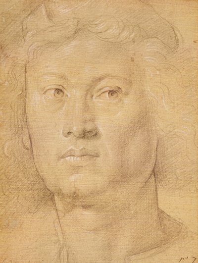 Hoofd van een Engel door Sandro Botticelli