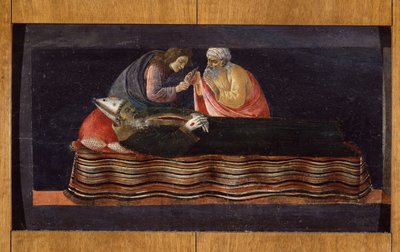 De Extractie van het Hart van St. Ignatius van het Altaarstuk van St. Barnabas door Sandro Botticelli