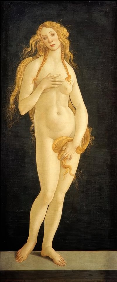 Venus door Sandro Botticelli