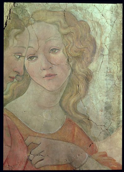Venus en de Drie Gratiën die Geschenken Aanbieden aan een Jong Meisje (detail) door Sandro Botticelli