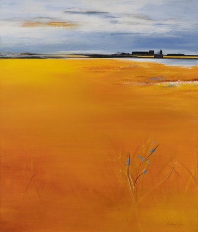  door Sandy Iseli