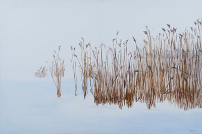  door Sandy Iseli